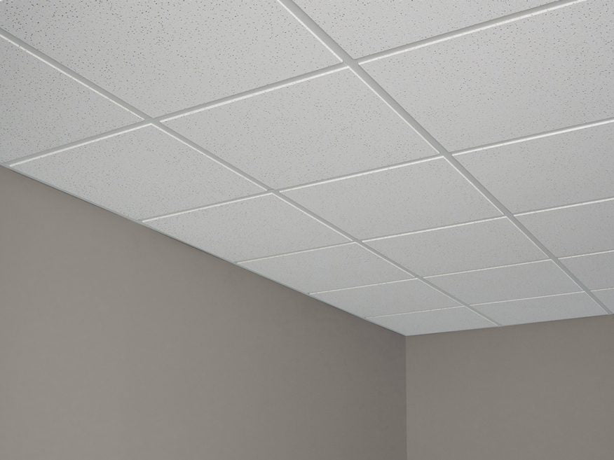 USG Radar™ Basic Acoustical Panels - West Homestead, PA - George M. Hall Co